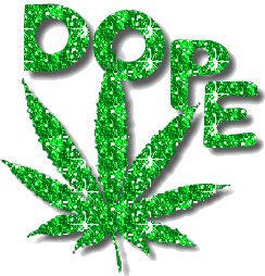 Pot