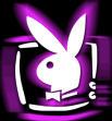 playboy